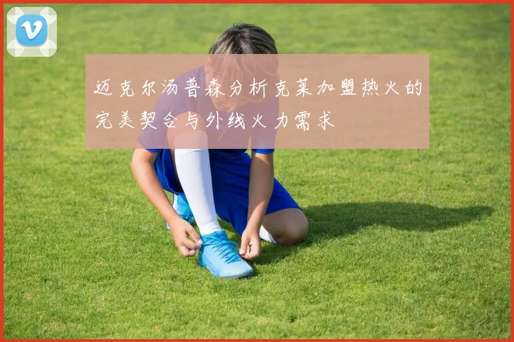 迈克尔汤普森分析克莱加盟热火的完美契合与外线火力需求